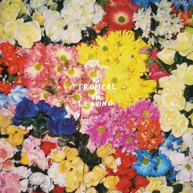 is-tropical-im-leaving